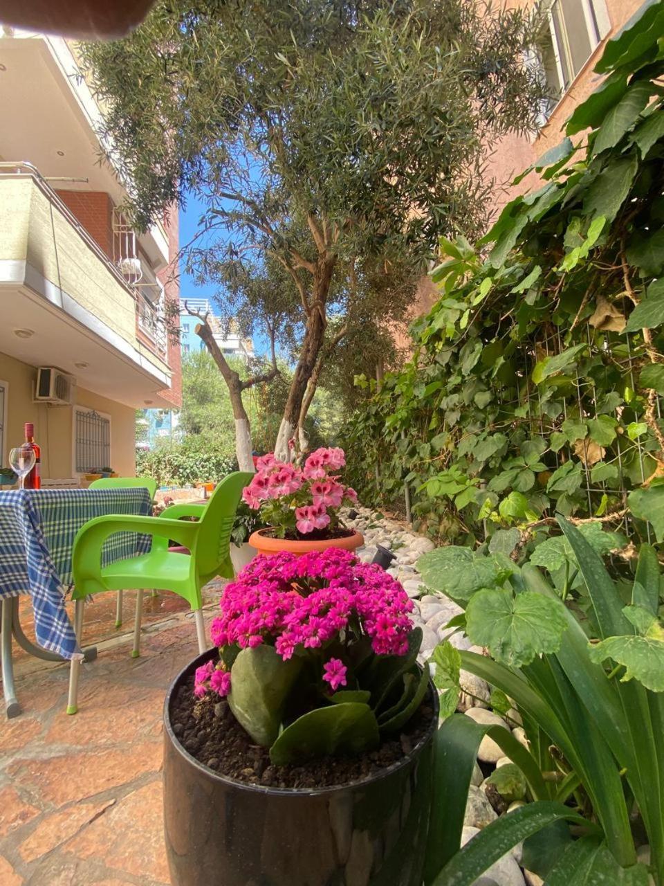 Olive Tree Apartment Саранде Екстериор снимка