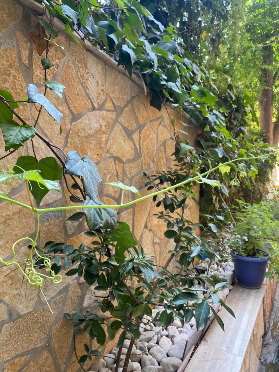 Olive Tree Apartment Саранде Екстериор снимка